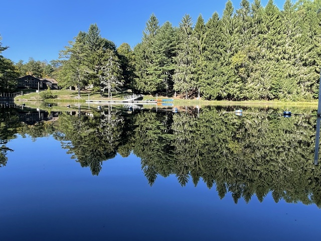 AaNewGermanyReflections