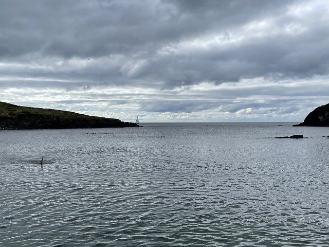 WIR1SCOvercastSailboat